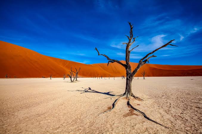 deserto